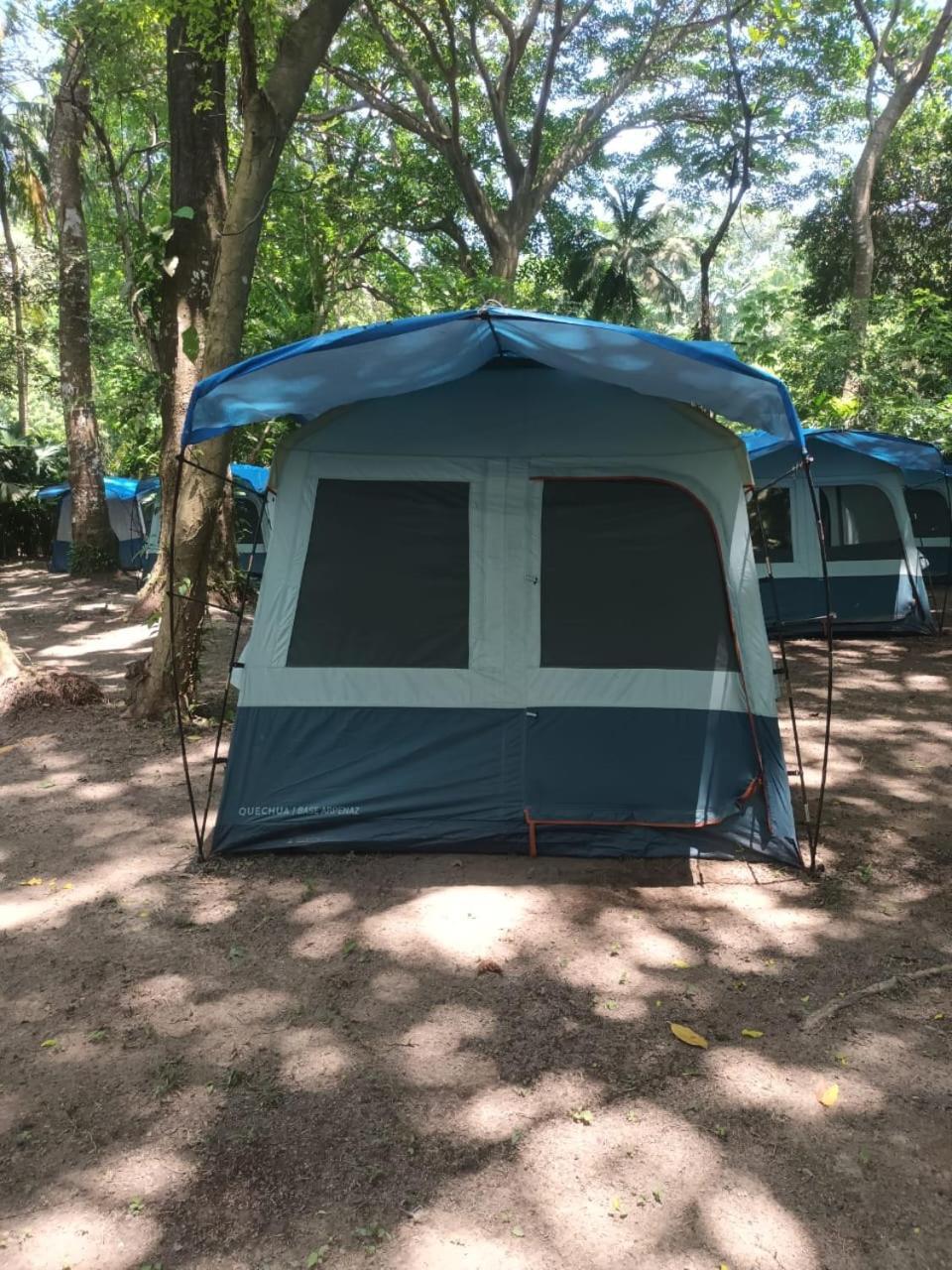 Happy Camping Arrecifes Dentro Del Parque Nacional Natural Tayrona El Coquito Dış mekan fotoğraf