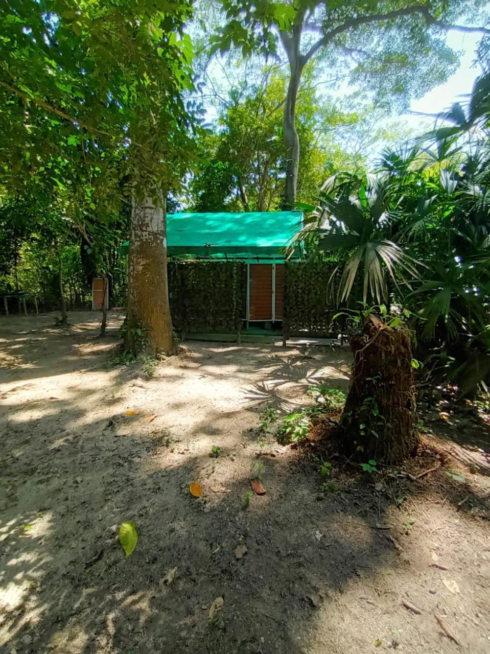 Happy Camping Arrecifes Dentro Del Parque Nacional Natural Tayrona El Coquito Dış mekan fotoğraf